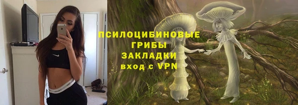 ГАЛЛЮЦИНОГЕННЫЕ ГРИБЫ Магас