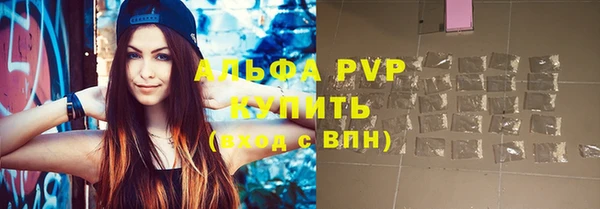 ПСИЛОЦИБИНОВЫЕ ГРИБЫ Сосновый Бор