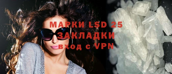 ГАЛЛЮЦИНОГЕННЫЕ ГРИБЫ Магас