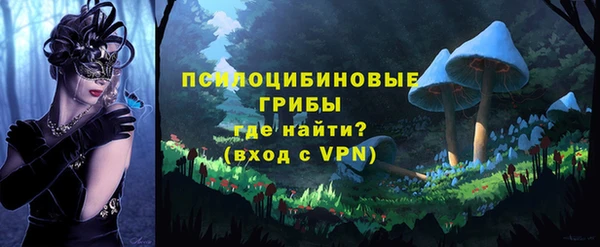 дмт Сосновоборск