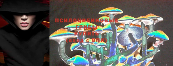 прущая мука Медвежьегорск